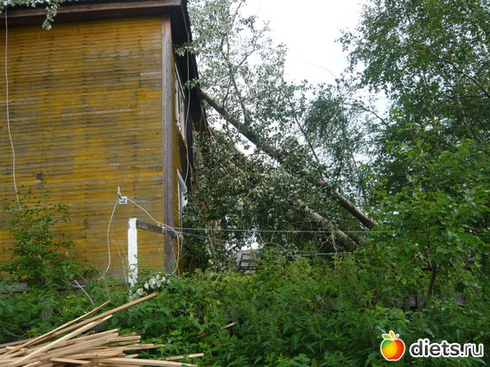 ������� � ������������, ������: ��� �����