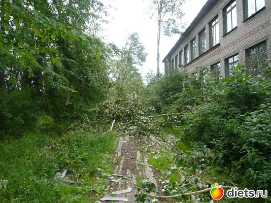 ������� � ������������, ������: ��� �����