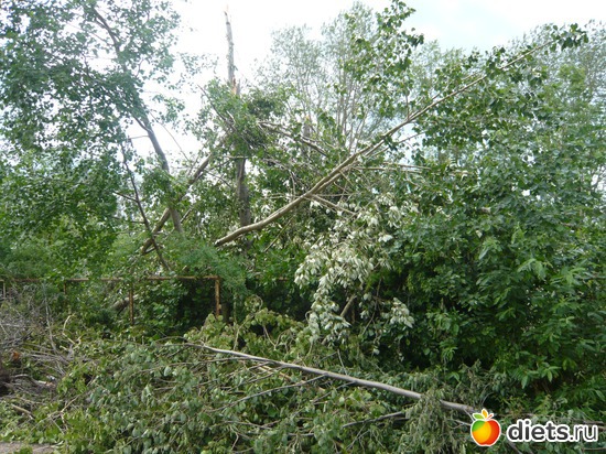 ������� � ������������, ������: ��� �����