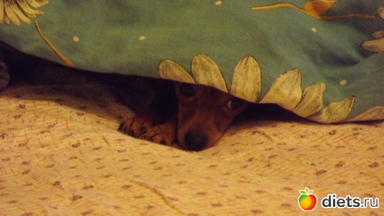 1 фото: нравится мне