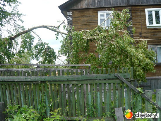 ������� � ������������, ������: ��� �����