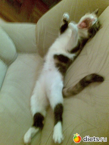 Потягушечки, альбом: Мои любимые девочки