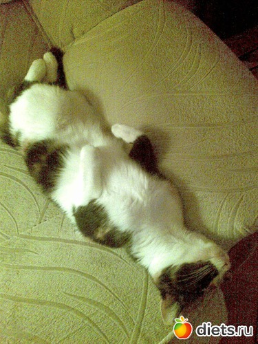 17 фото: Мои любимые девочки