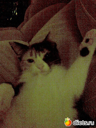 Привет от Маргоши, альбом: Мои любимые девочки