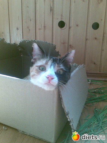 22 фото: Мои любимые девочки