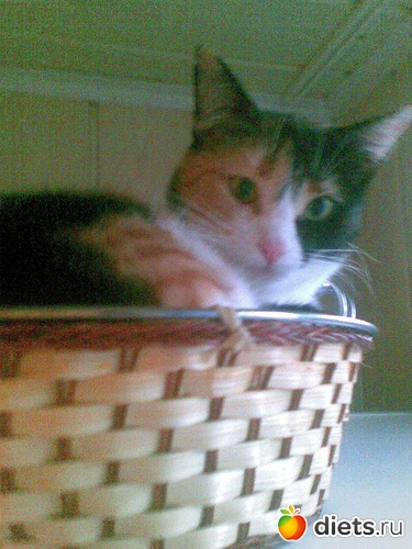 23 фото: Мои любимые девочки