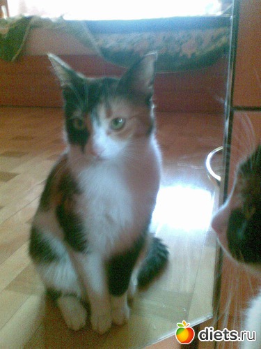 30 фото: Мои любимые девочки