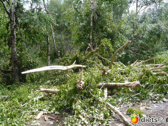 ������� � ������������, ������: ��� �����