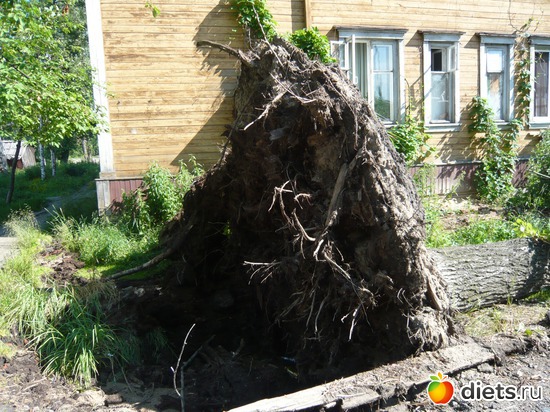 ������� � ������������, ������: ��� �����