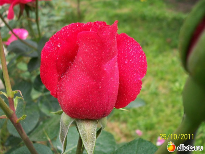 3 ����: ������ ����������