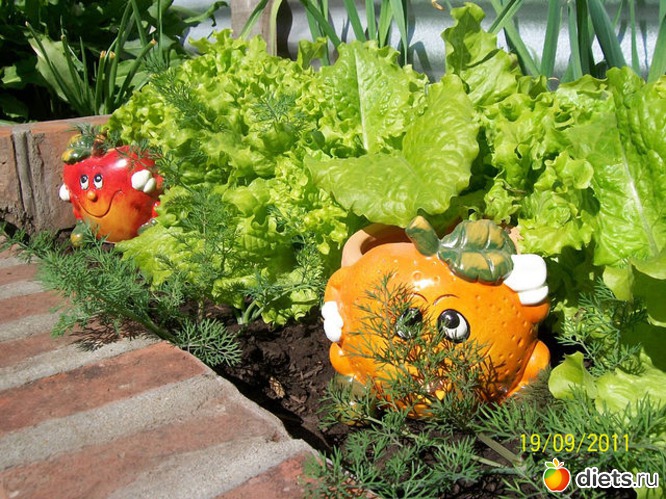 5 ����: ������ ����������