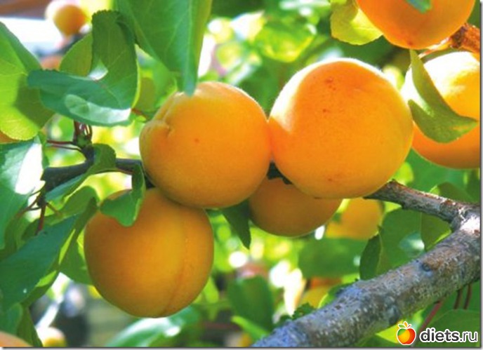 16 ����: ������ ����������