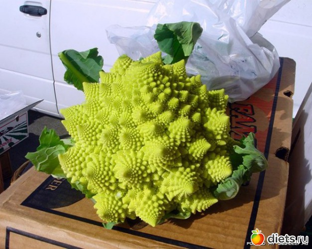 7 ����: ������ ����������