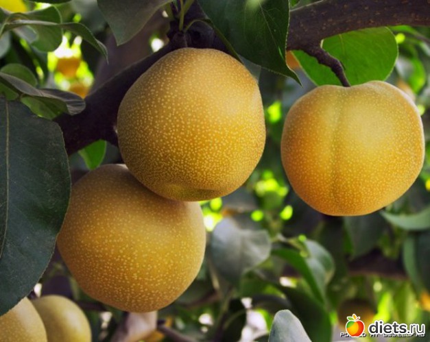 8 ����: ������ ����������