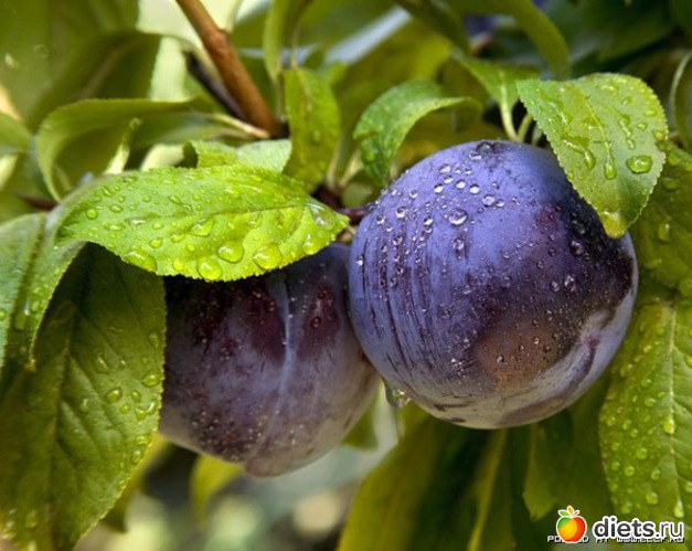 9 ����: ������ ����������