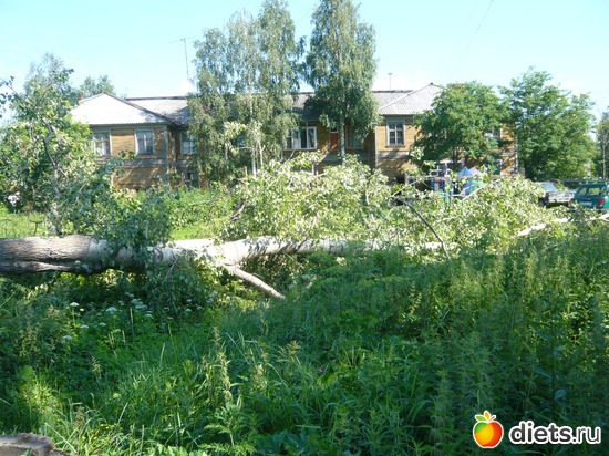 ������� � ������������, ������: ��� �����