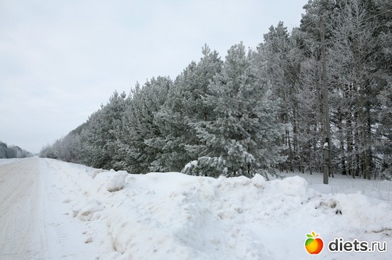 Дорожный пейзаж, альбом: 02-01-12