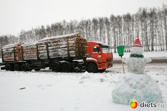 Дорожный пейзаж :), альбом: 02-01-12