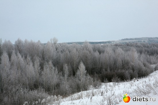 Дорожный пейзаж еще один, альбом: 02-01-12