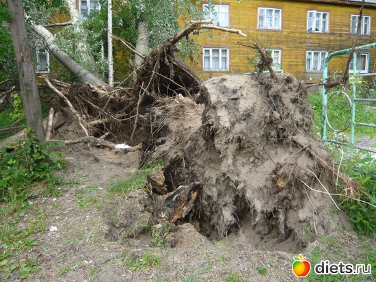 ������� � ������������, ������: ��� �����