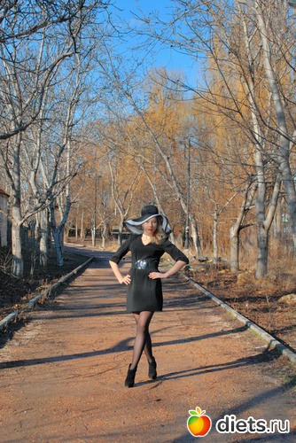 3 ����: �����-����������