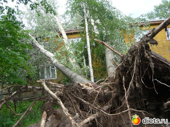 ������� � ������������, ������: ��� �����