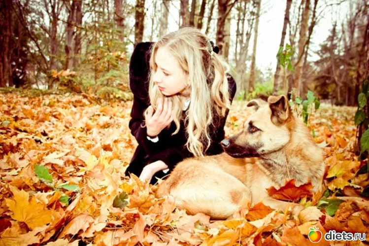 7 ����: �����