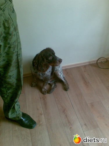 Джек, альбом: Мои лбимые животные