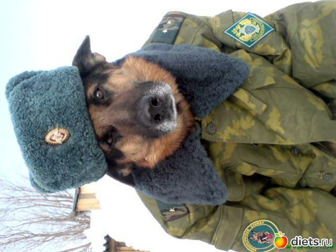 Прапор, альбом: Мои лбимые животные