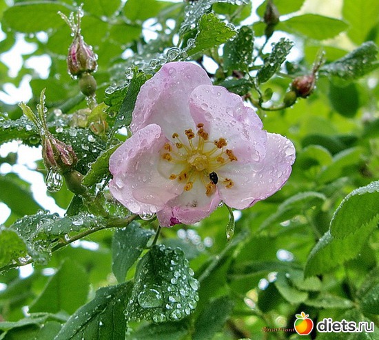 11 ����: ������ ����������