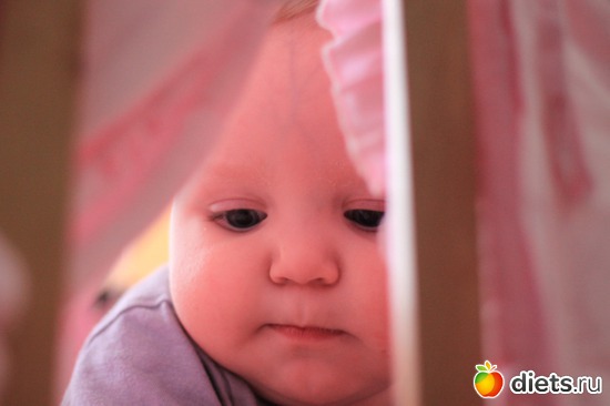 8 ����: ����-����� �����