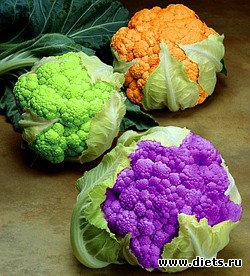 ������ ����������