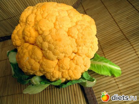 ������ ����������