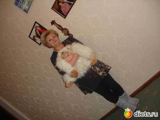 4 ����: 2012