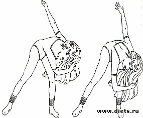   - ,         ,       .         .         8 .  