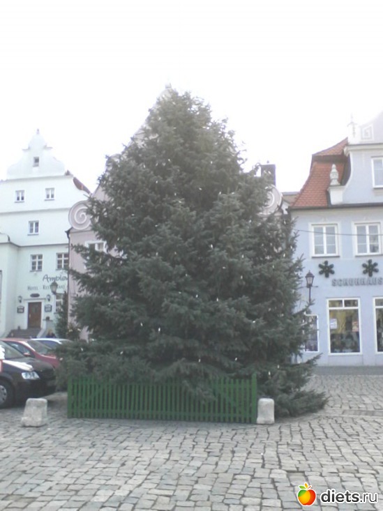 ����, ������: �����