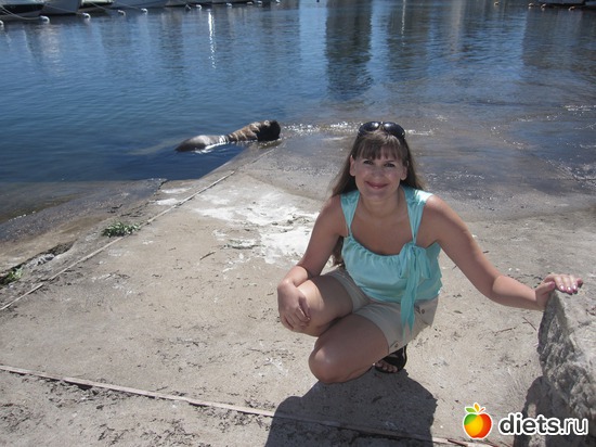 26 ����: ��� ����������