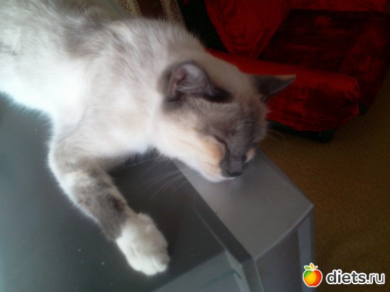 ���� ����, ������: � � ��� ���������!!!