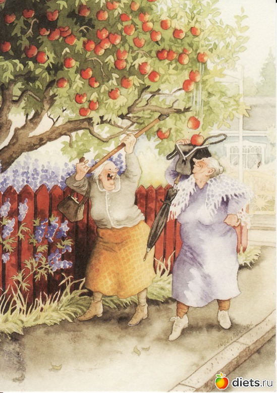 15 ����: ��������