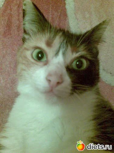 Маргоша, альбом: Мои любимые девочки