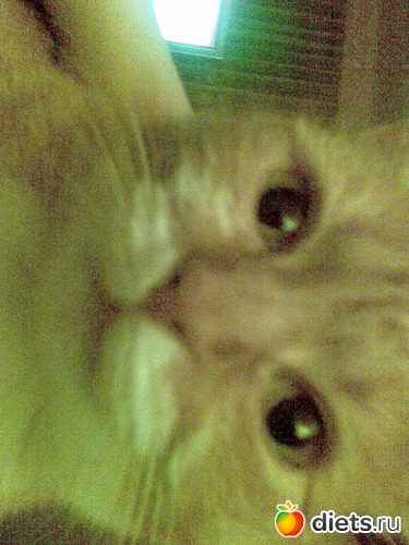 Ася, альбом: Мои любимые девочки