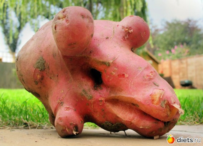 �����, ������: ������������ �����