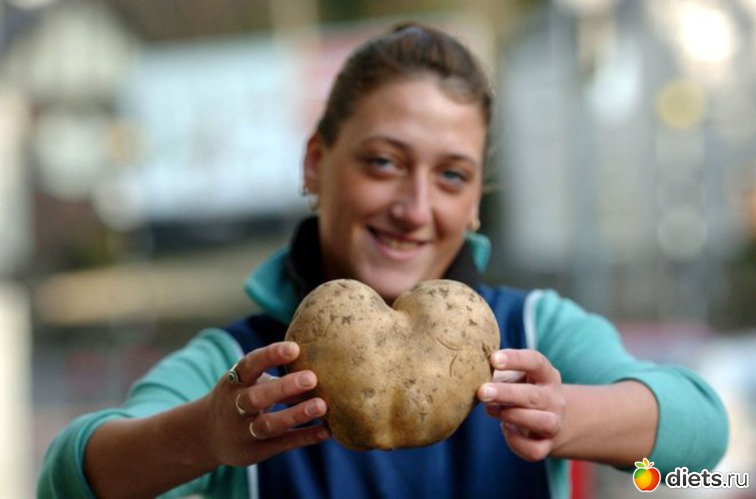 ������, ������: ������������ �����