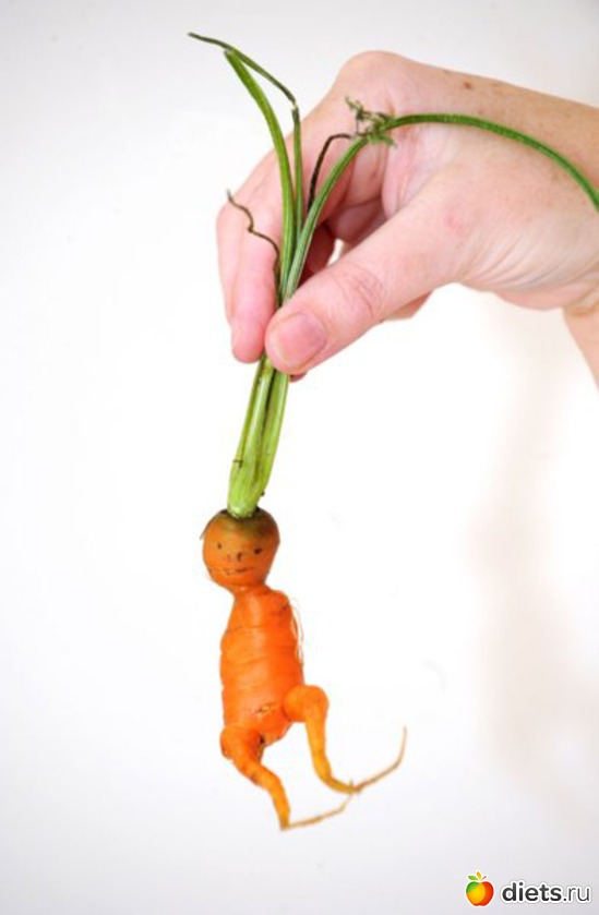 ���������, ������: ������������ �����