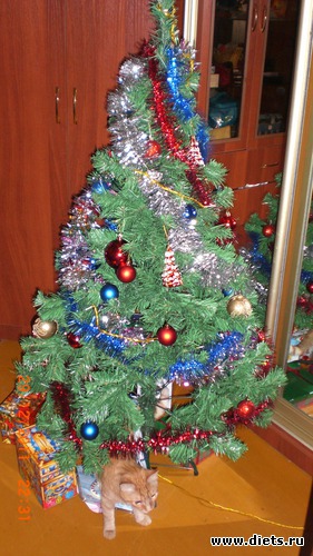 ��� �������� ��� �������))))), ������: ������� ������ 2012 ���� - ��� "������"