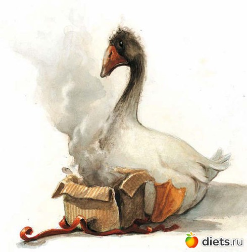 26 фото: Иллюстратор JEAN BAPTICTE MONGE