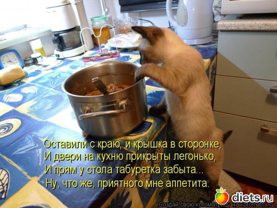 6 ����: ���������