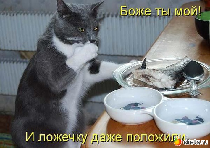 7 ����: ���������