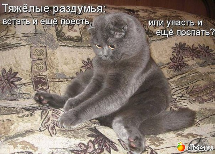 ���� � ����!, ������: ���������