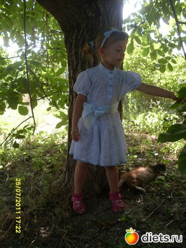   ., :  (    )....  ....